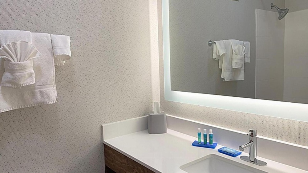 Holiday Inn Express Hotel & Suites Columbia-Fort Jackson Main image